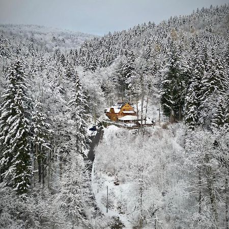 Pensjonat Alpejski Dwór Międzygórze Exterior foto