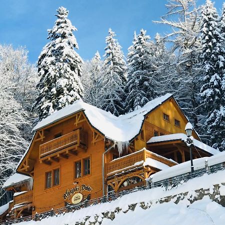 Pensjonat Alpejski Dwór Międzygórze Exterior foto