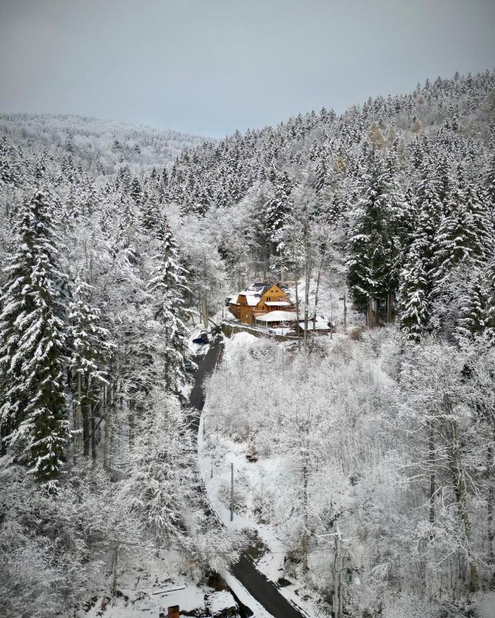 Pensjonat Alpejski Dwór Międzygórze Exterior foto