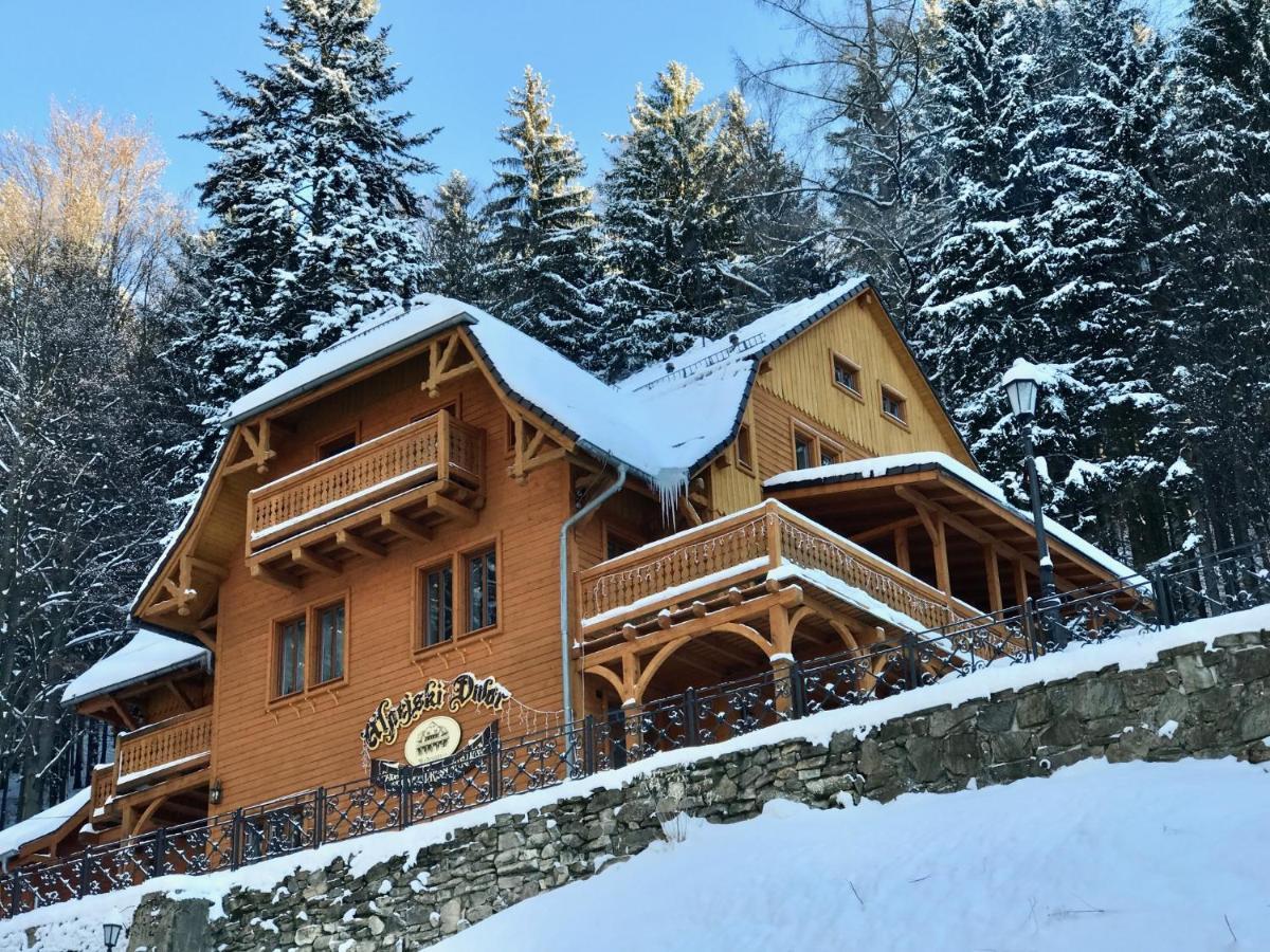 Pensjonat Alpejski Dwór Międzygórze Exterior foto