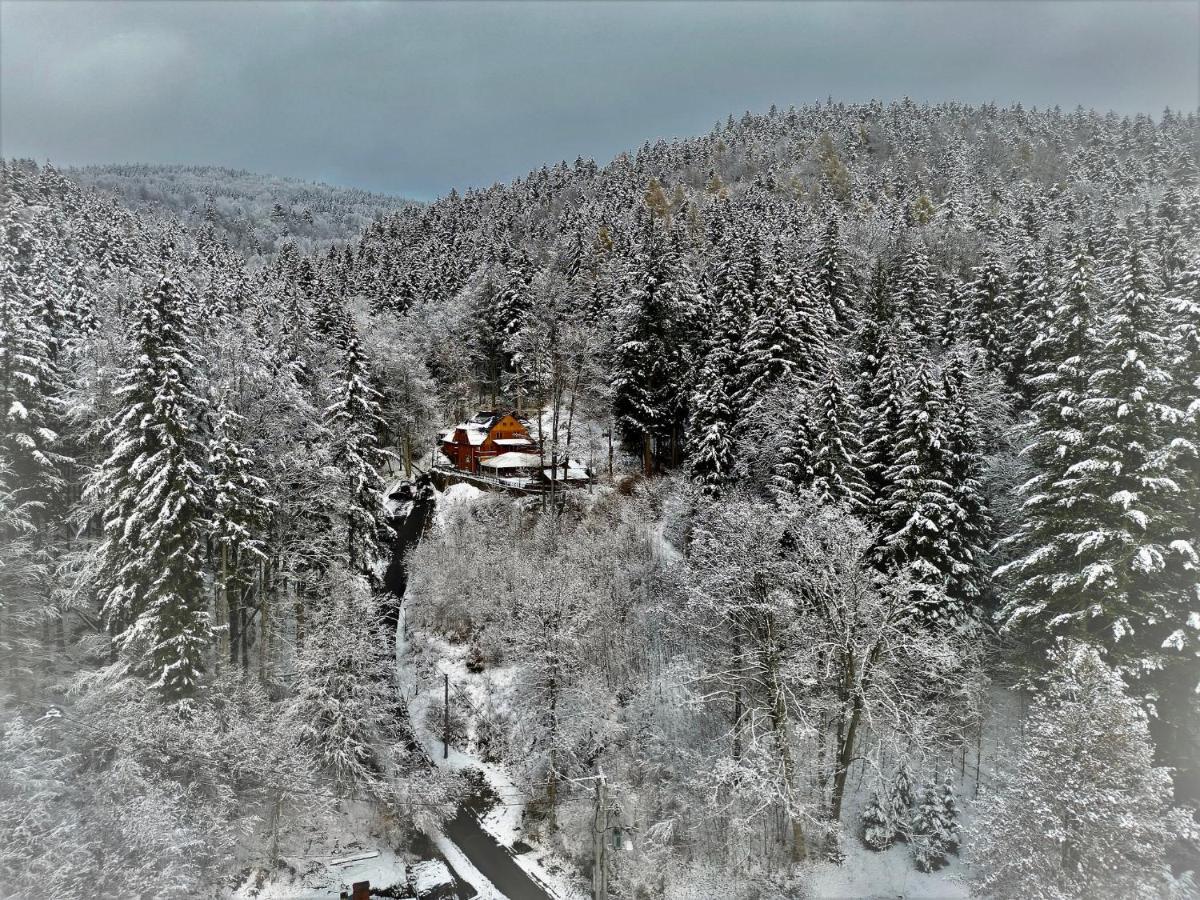 Pensjonat Alpejski Dwór Międzygórze Exterior foto