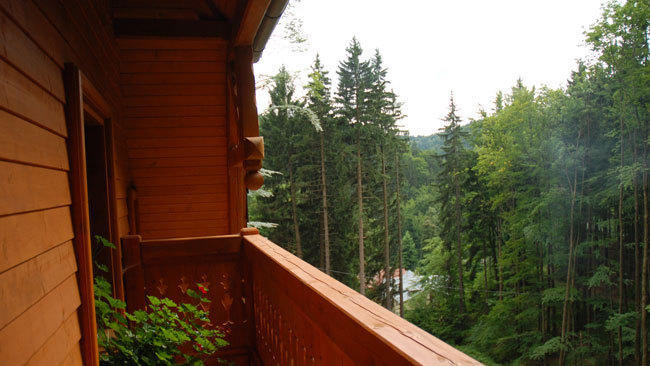 Pensjonat Alpejski Dwór Międzygórze Exterior foto