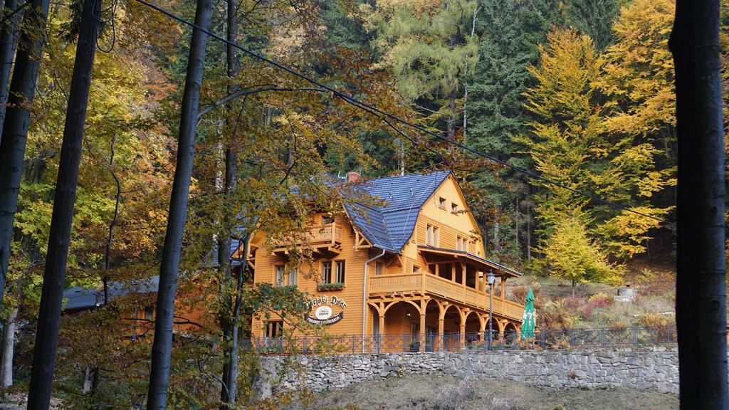 Pensjonat Alpejski Dwór Międzygórze Exterior foto