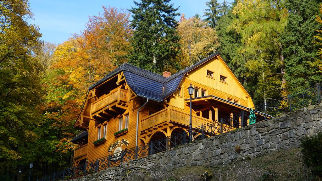Pensjonat Alpejski Dwór Międzygórze Exterior foto